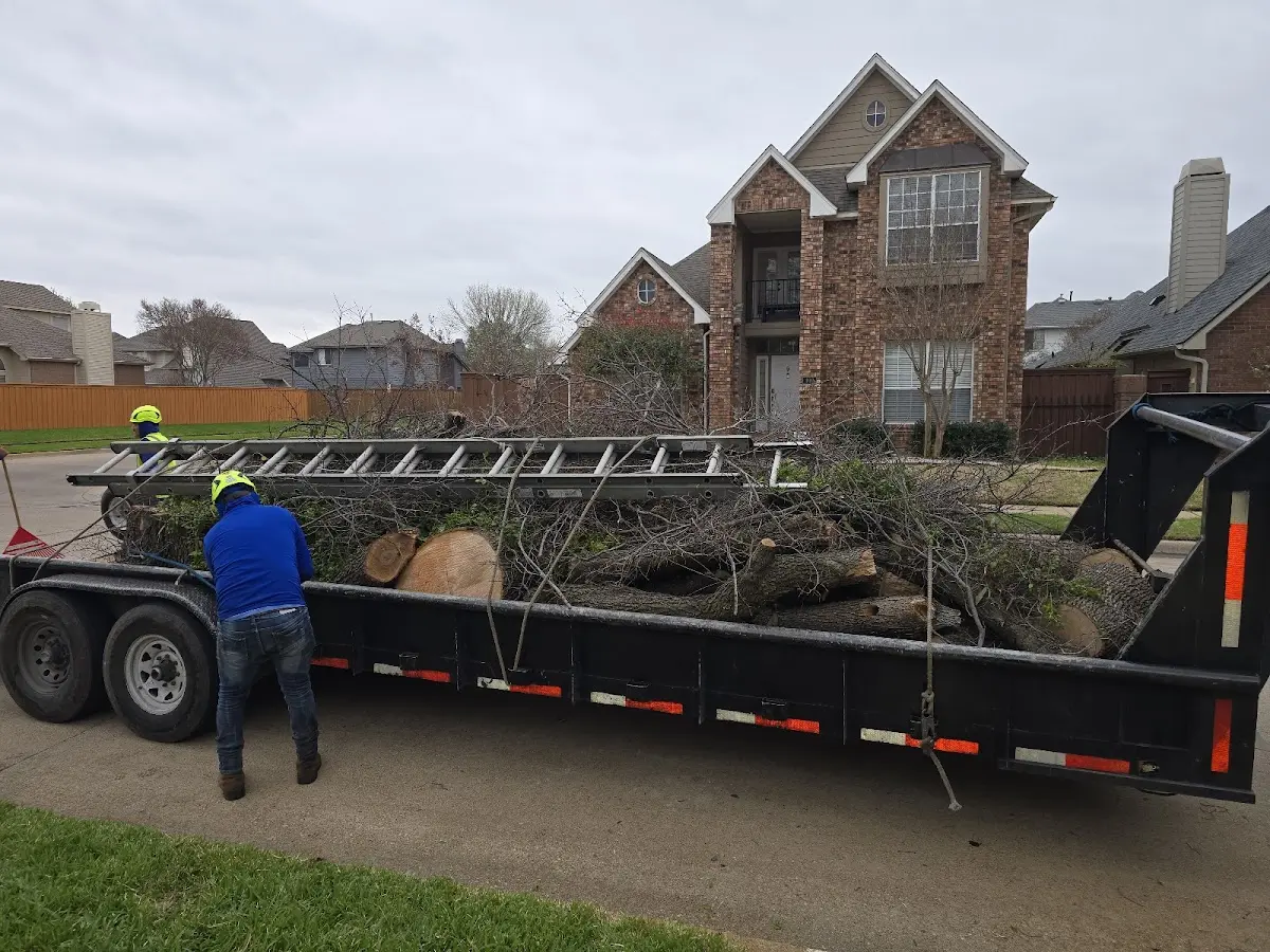 Expert Lot Clearing with proper safety equipment in Visalia